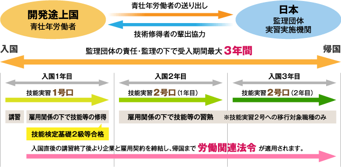 外国人研修・技能実習の流れ